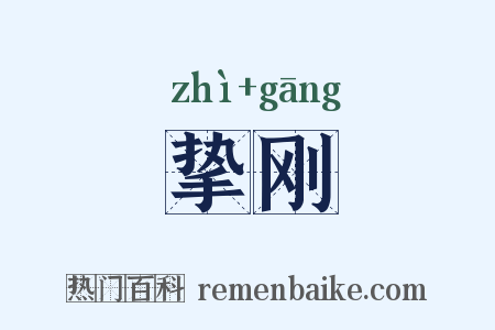挚刚是什么意思的图片